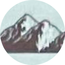 Toroslar