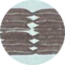 Mayalama